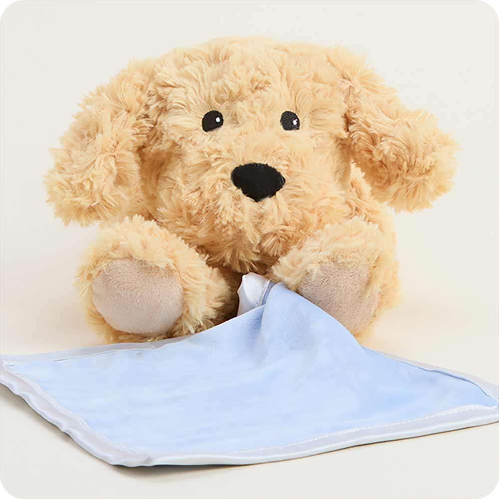 Golden Dog Blankie Warmies - Daily Scent