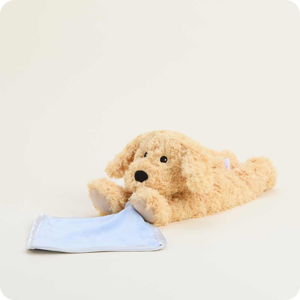 Golden Dog Blankie Warmies - Daily Scent