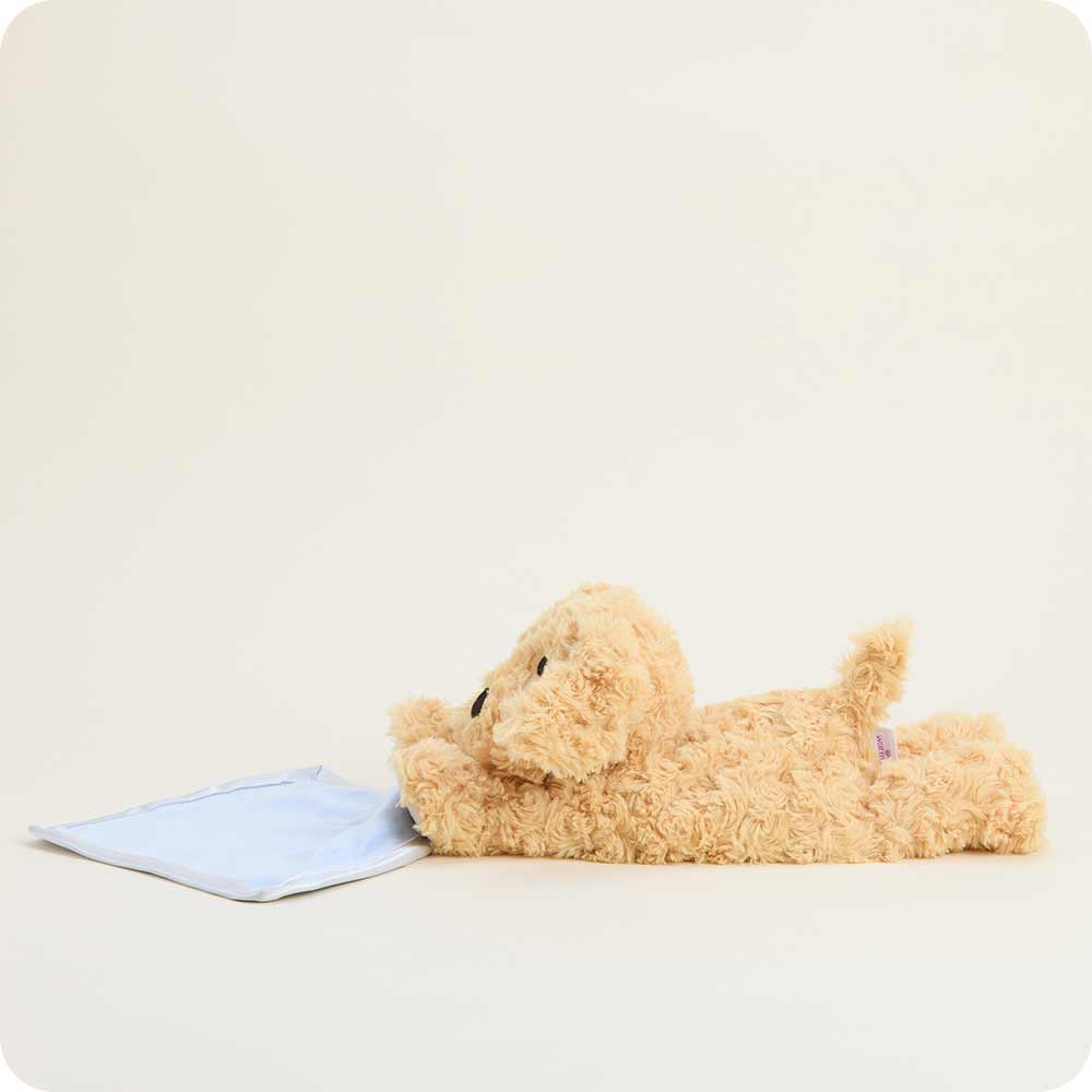 Golden Dog Blankie Warmies - Daily Scent