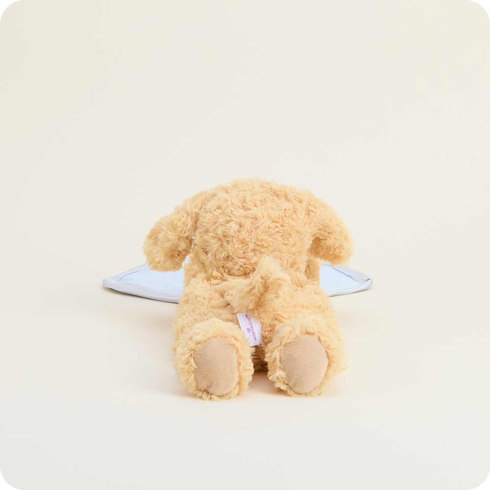 Golden Dog Blankie Warmies - Daily Scent