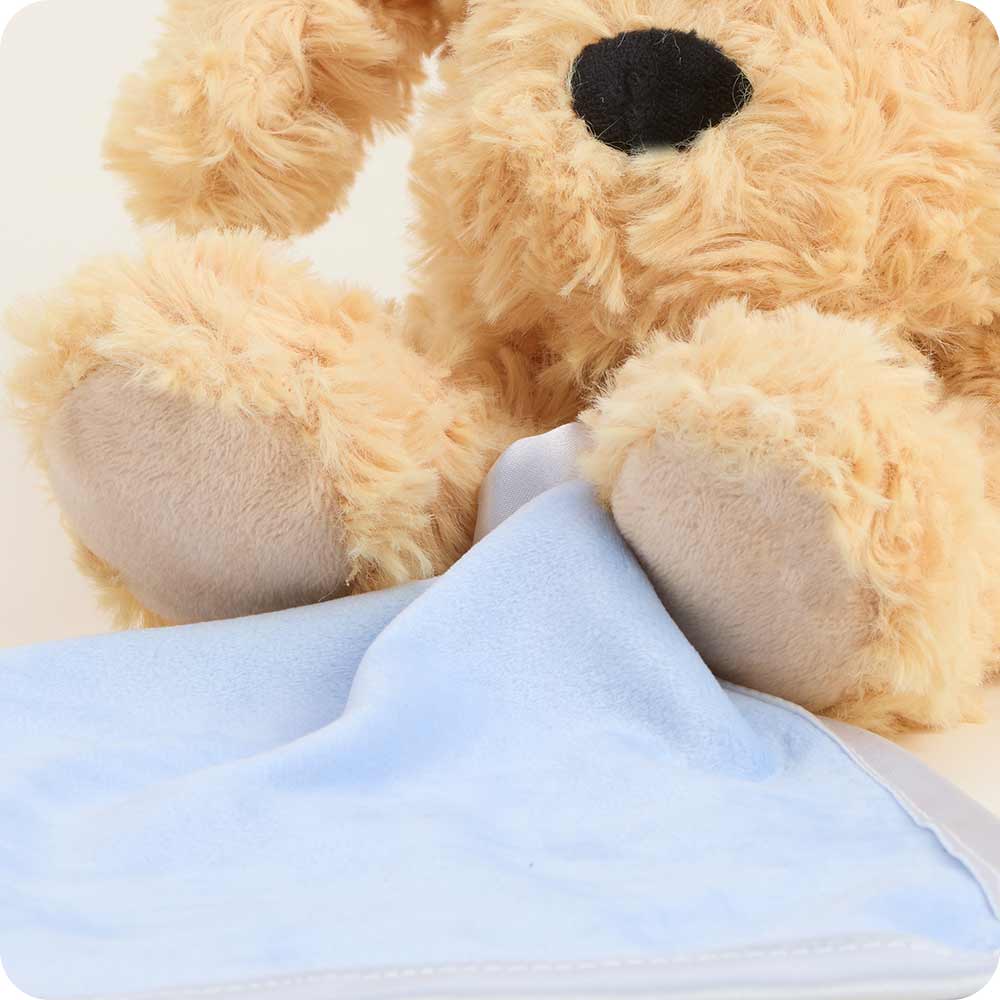 Golden Dog Blankie Warmies - Daily Scent