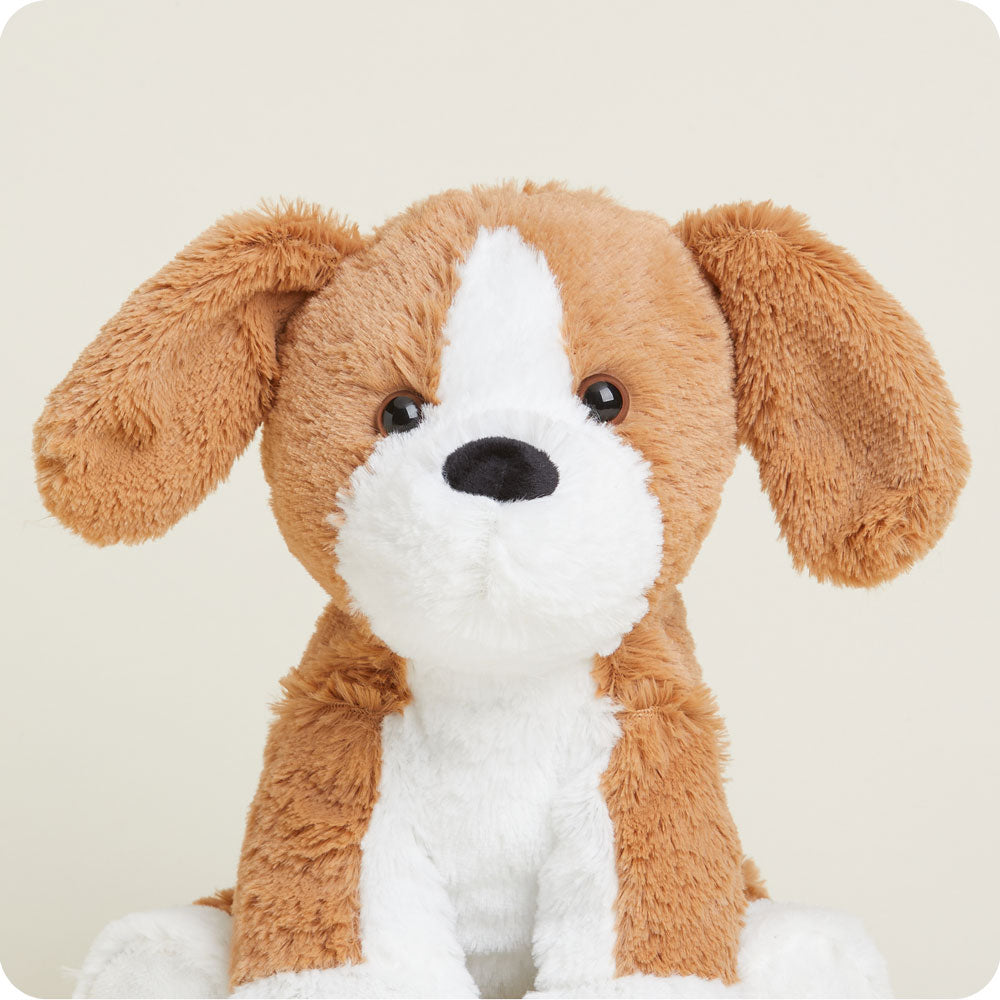 Beagle Warmies - Classic Notes