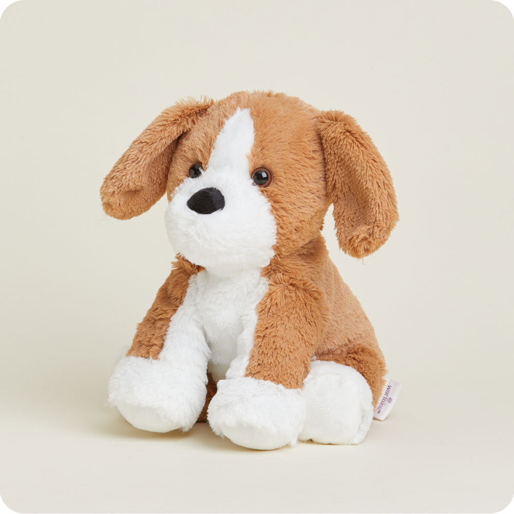 Beagle Warmies - Classic Notes