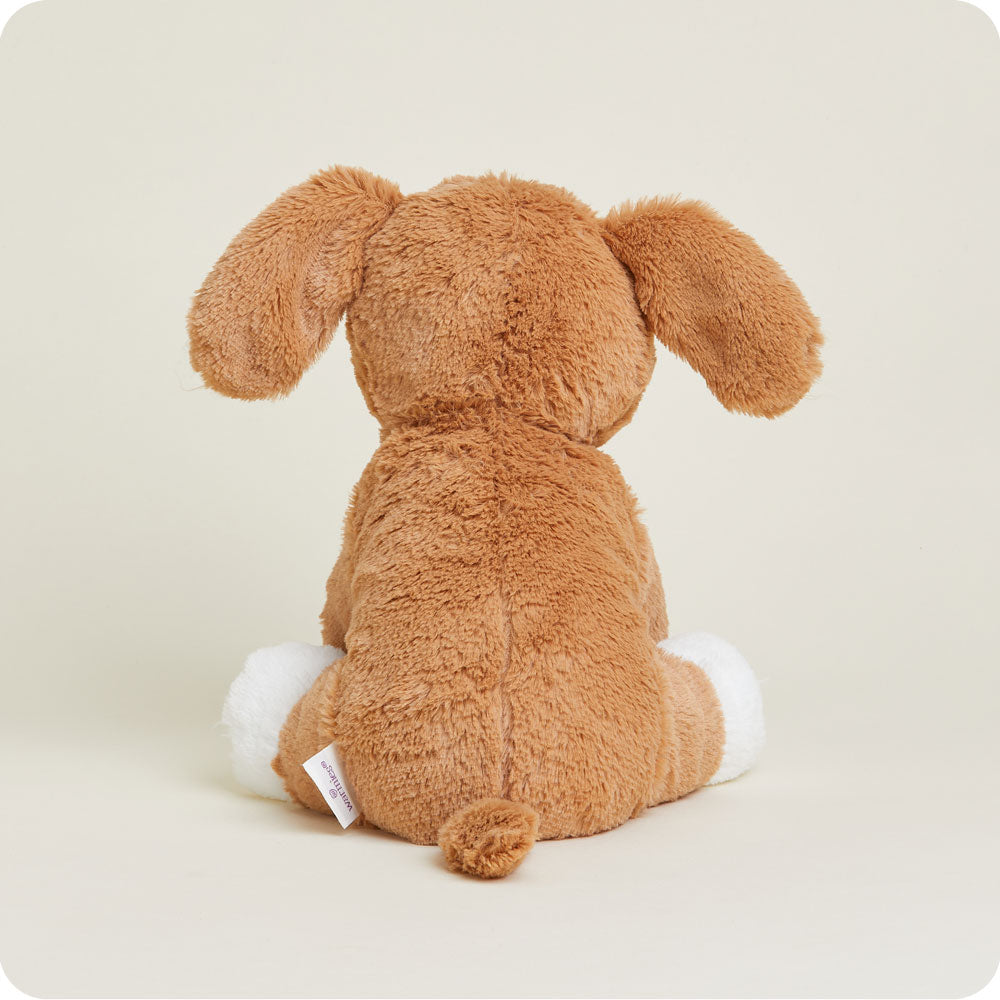 Beagle Warmies - Classic Notes