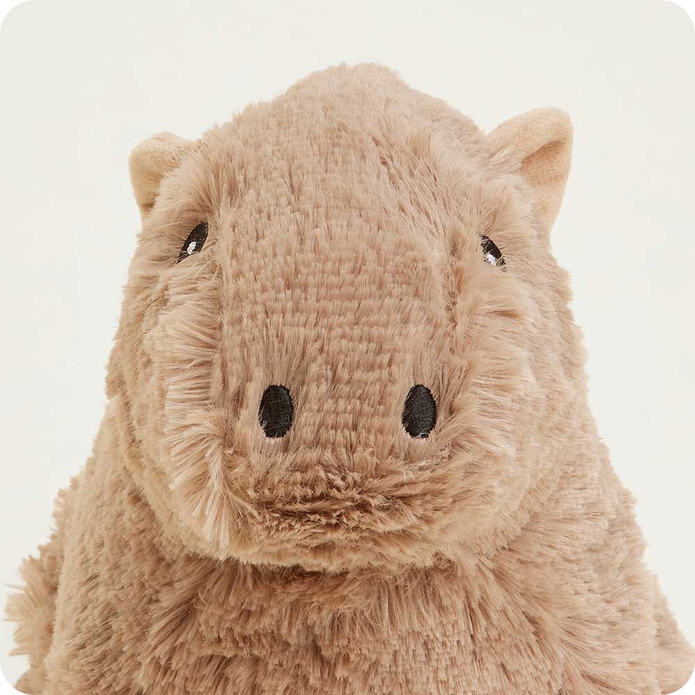 Capybara Warmies - Classic Notes
