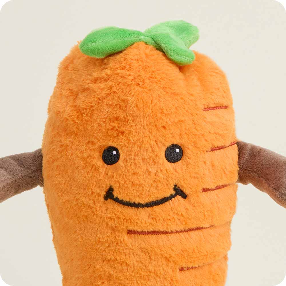 Carrot Warmies - Modern Blend