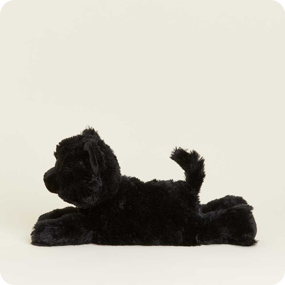 Black Cat Warmies - Warm Blend