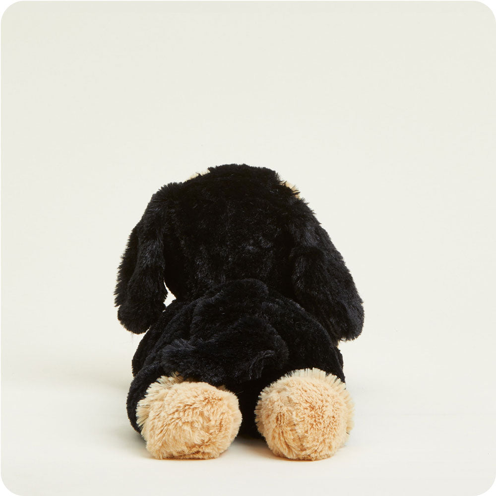 Dachshund Warmies - Classic Notes