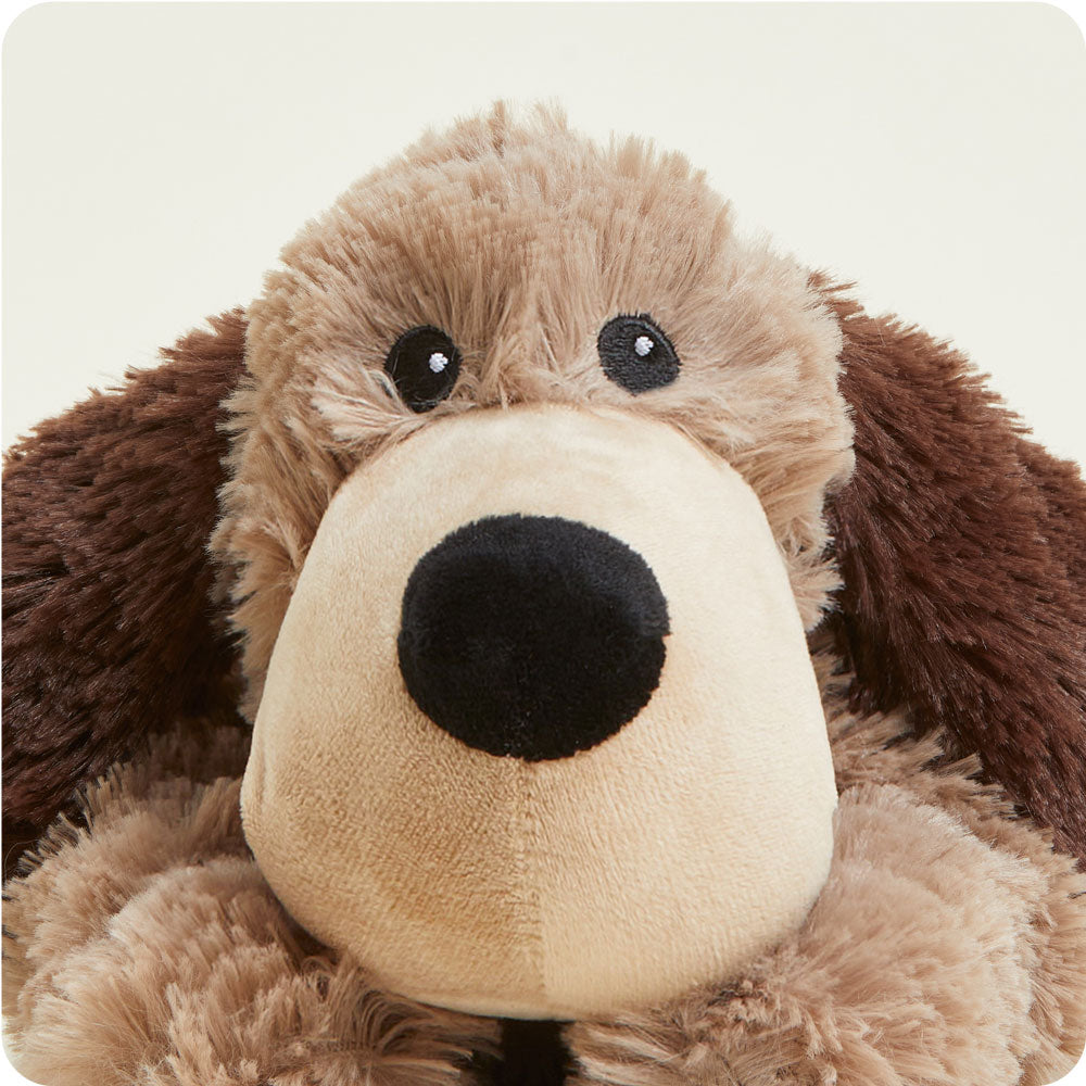 Brown Dog Warmies - Soft Glow