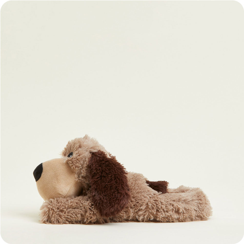 Brown Dog Warmies - Soft Glow