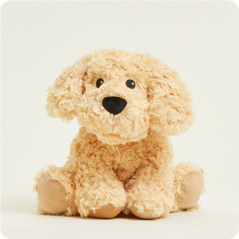 Golden Dog Warmies - Modern Blend