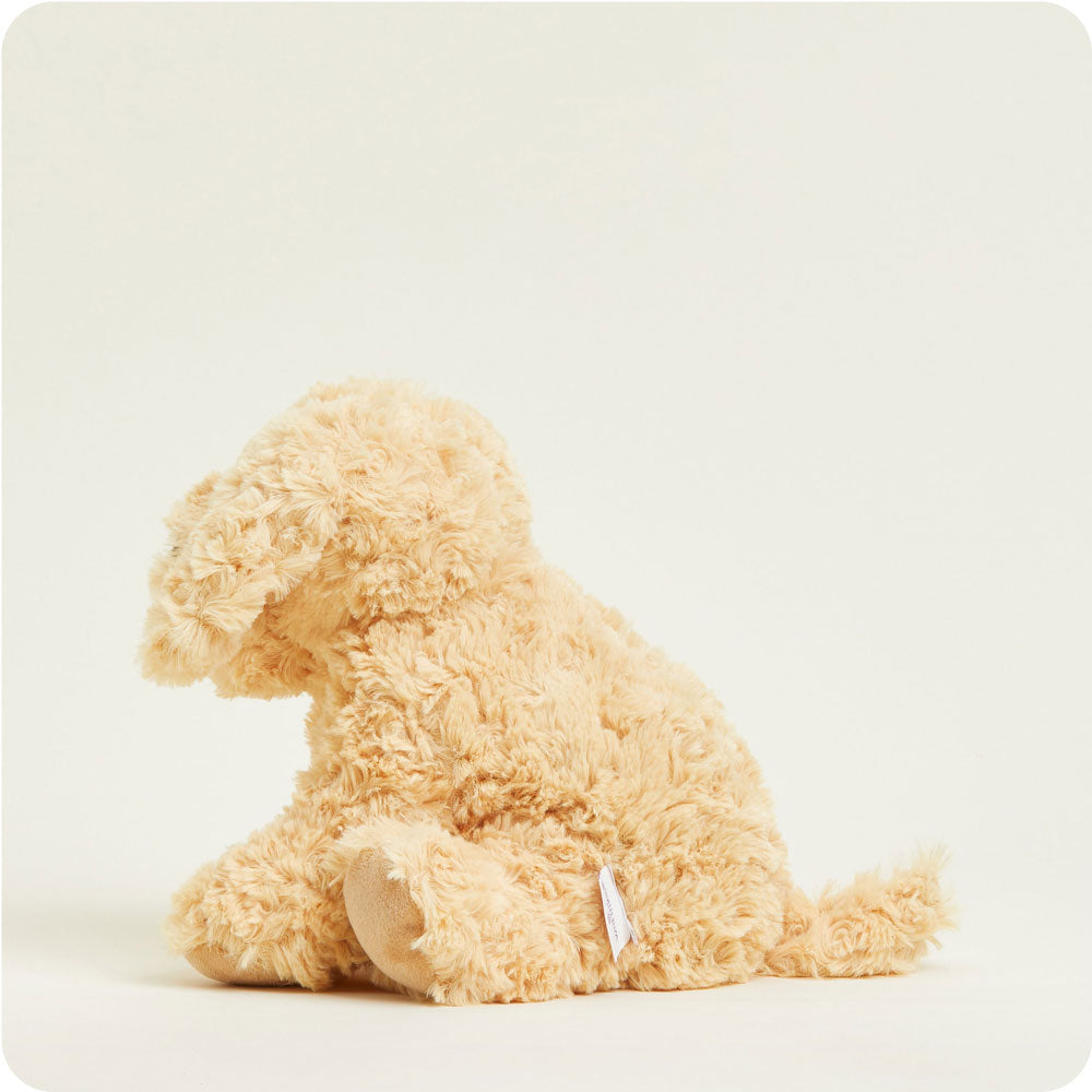 Golden Dog Warmies - Modern Blend