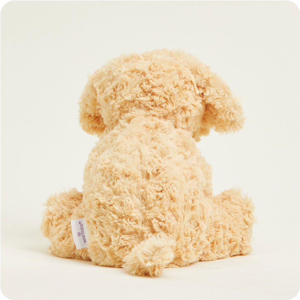 Golden Dog Warmies - Modern Blend