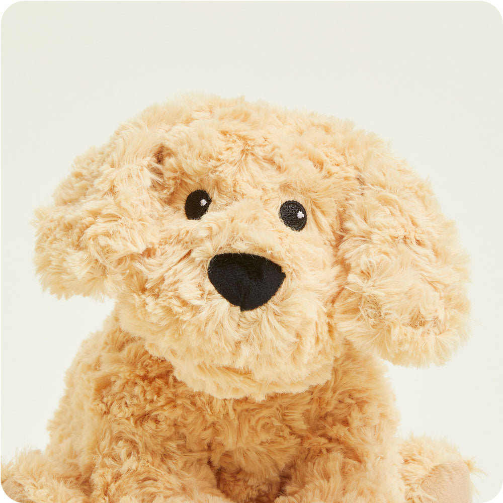 Golden Dog Warmies - Modern Blend