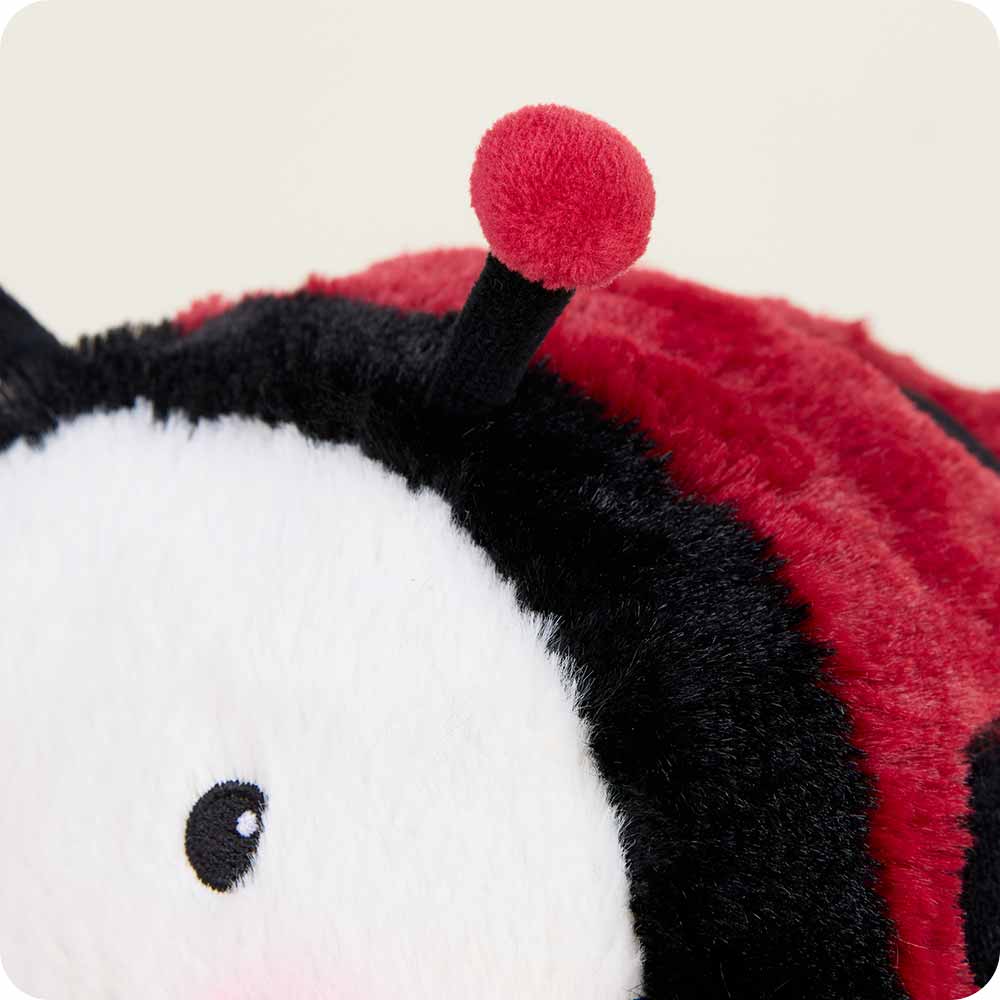 Ladybug Warmies - Clean Mood
