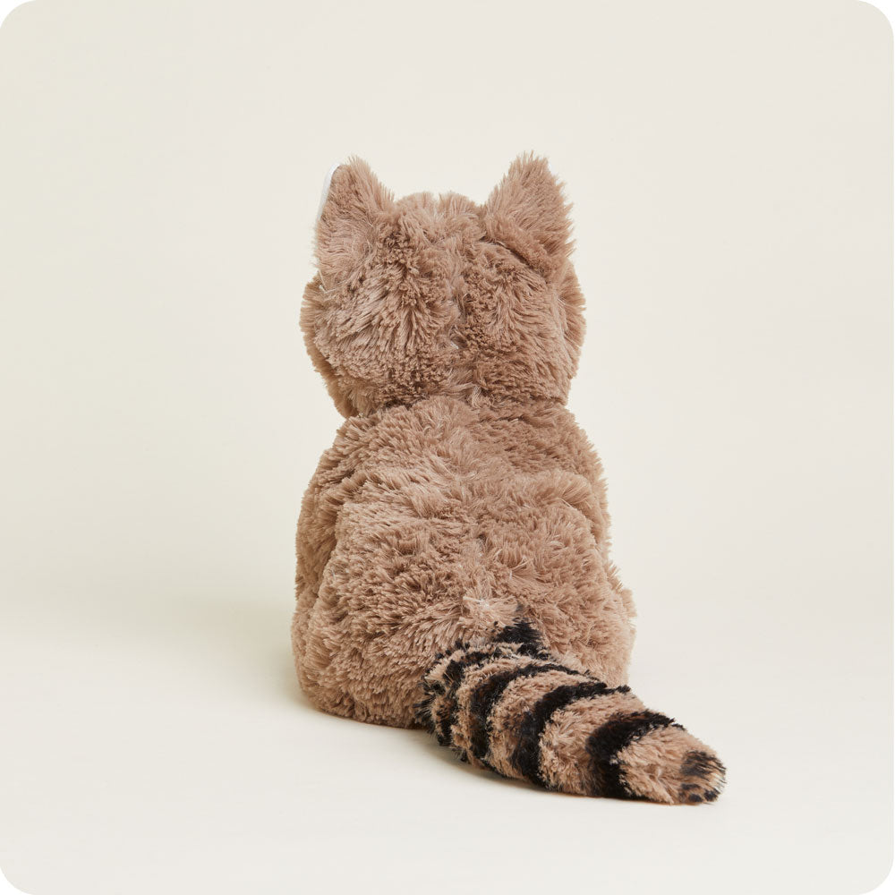 Raccoon Warmies - Soft Glow