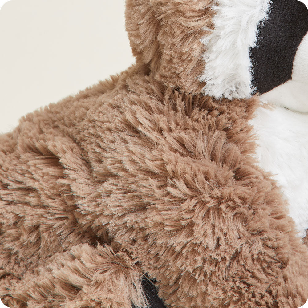 Raccoon Warmies - Soft Glow