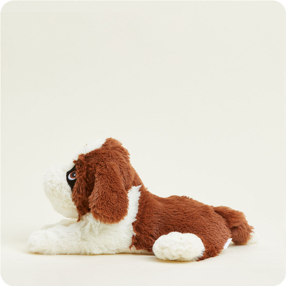 St. Bernard Warmies - Easy Spritz