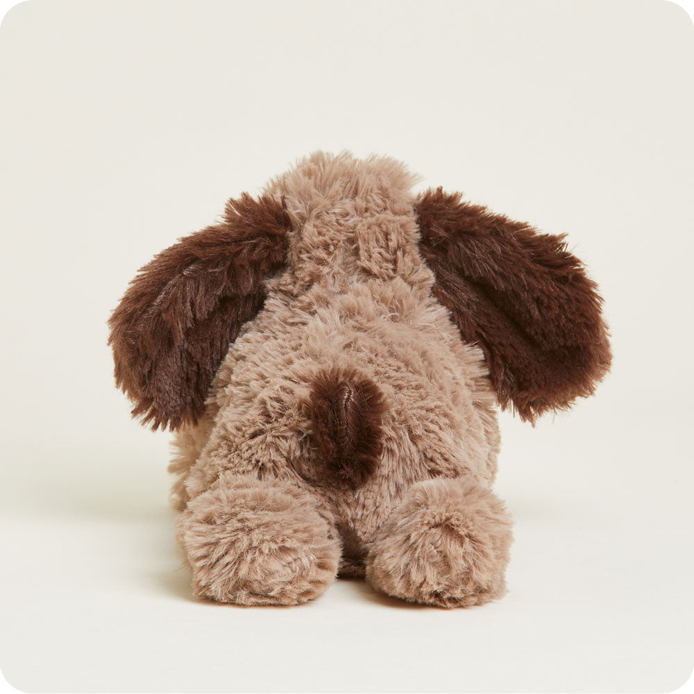 Brown Dog Warmies Junior - Warm Blend
