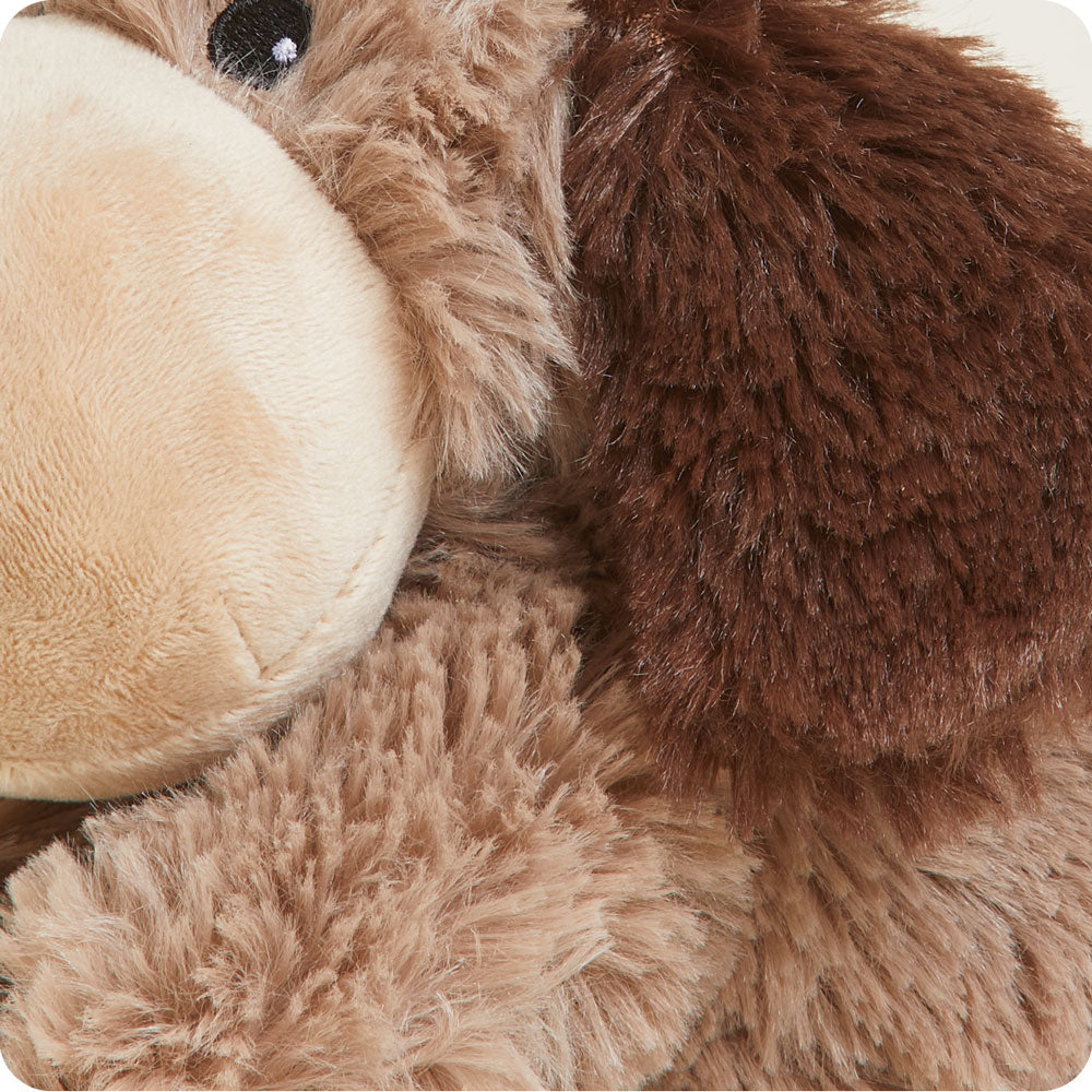 Brown Dog Warmies Junior - Warm Blend