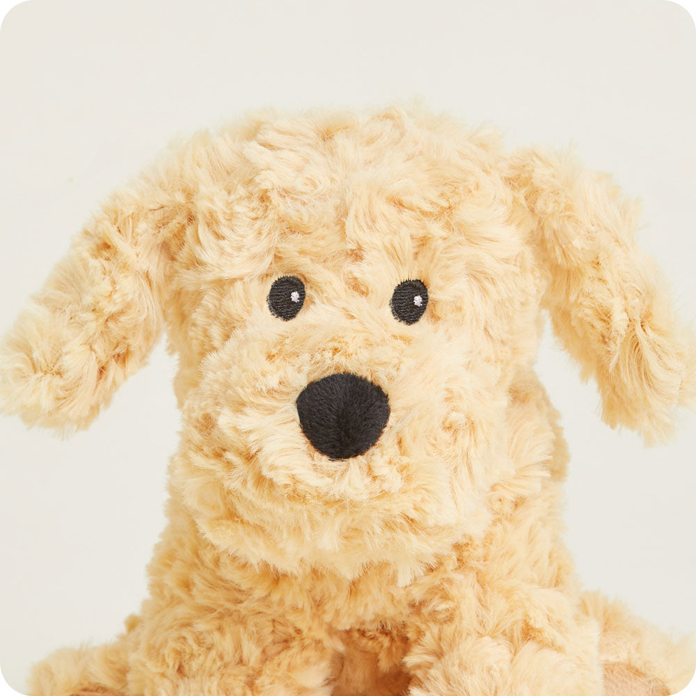 Golden Dog Warmies Junior - Daily Scent