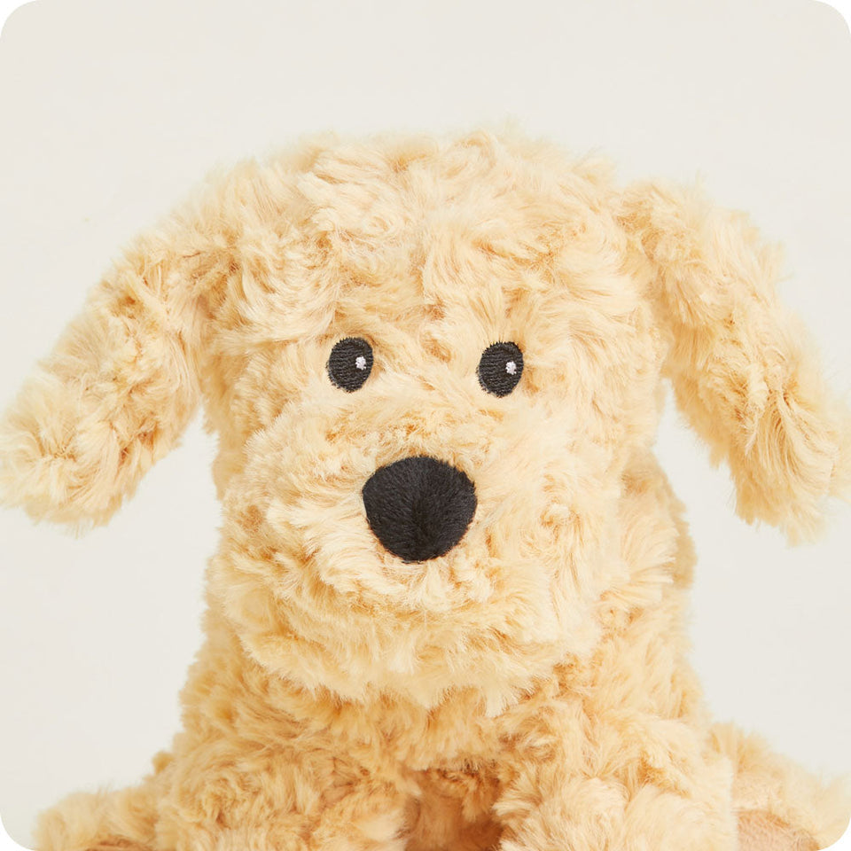 Golden Dog Warmies Junior - Daily Scent