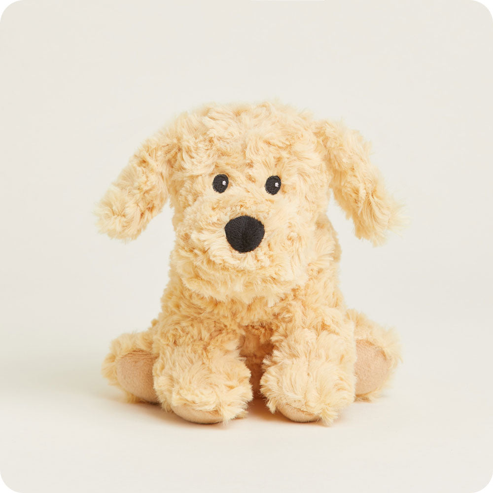 Golden Dog Warmies Junior - Daily Scent