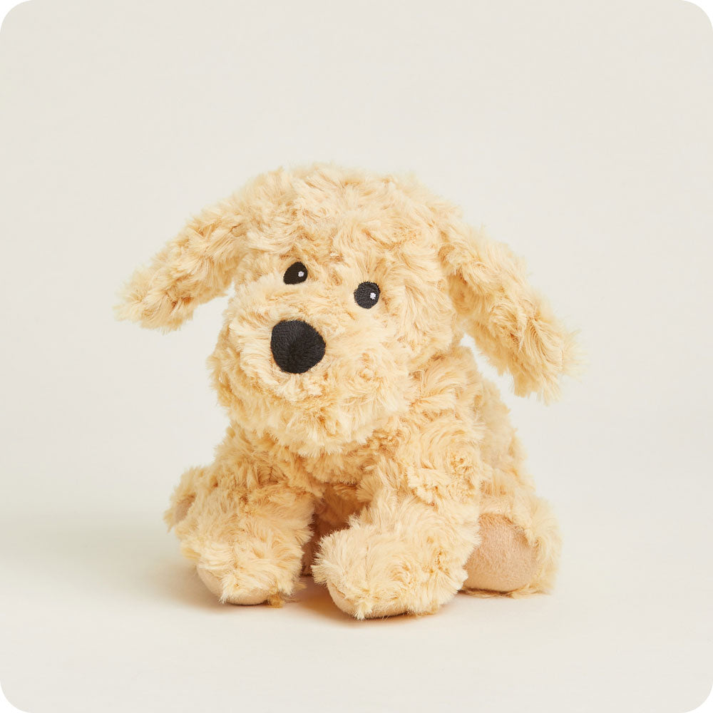 Golden Dog Warmies Junior - Daily Scent