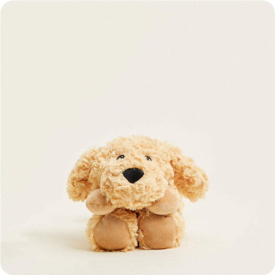 Golden Dog Warmies Wrap - Daily Set