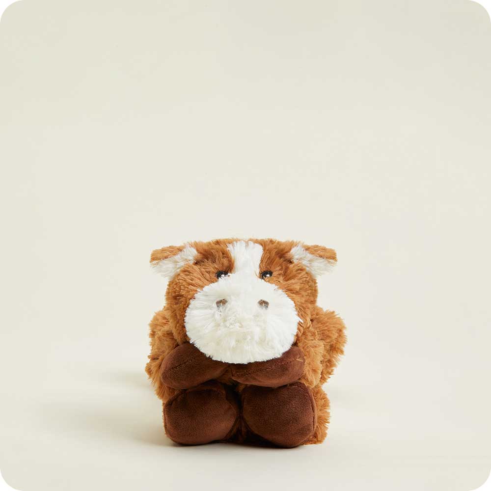 Horse Warmies Wrap - Daily Set