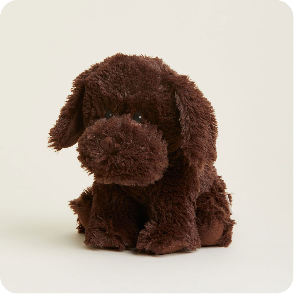 Chocolate Labrador Warmies - Home Glow
