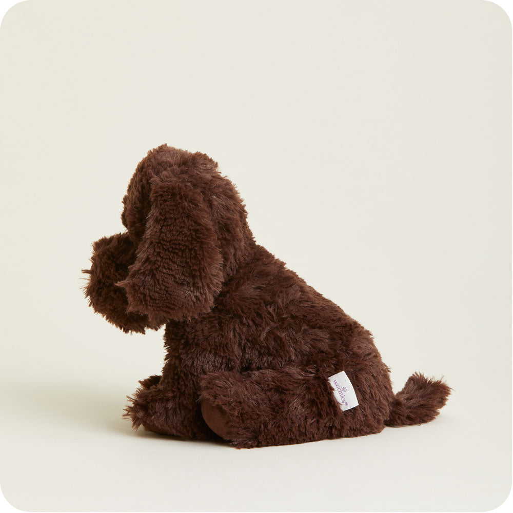 Chocolate Labrador Warmies - Home Glow