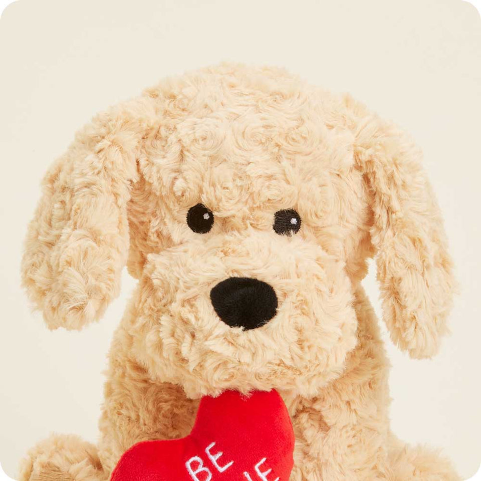 Be Mine Golden Dog Warmies - Fresh Notes