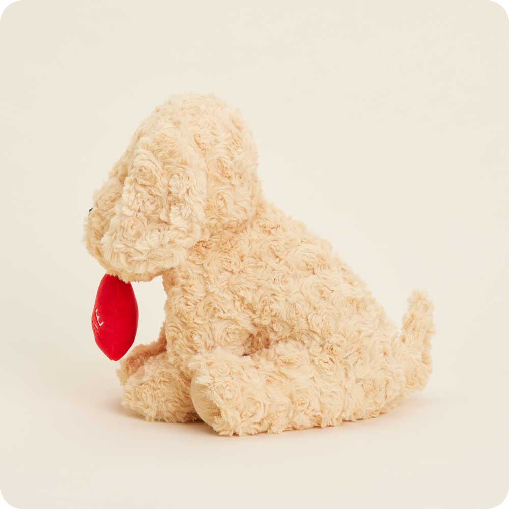 Be Mine Golden Dog Warmies - Fresh Notes
