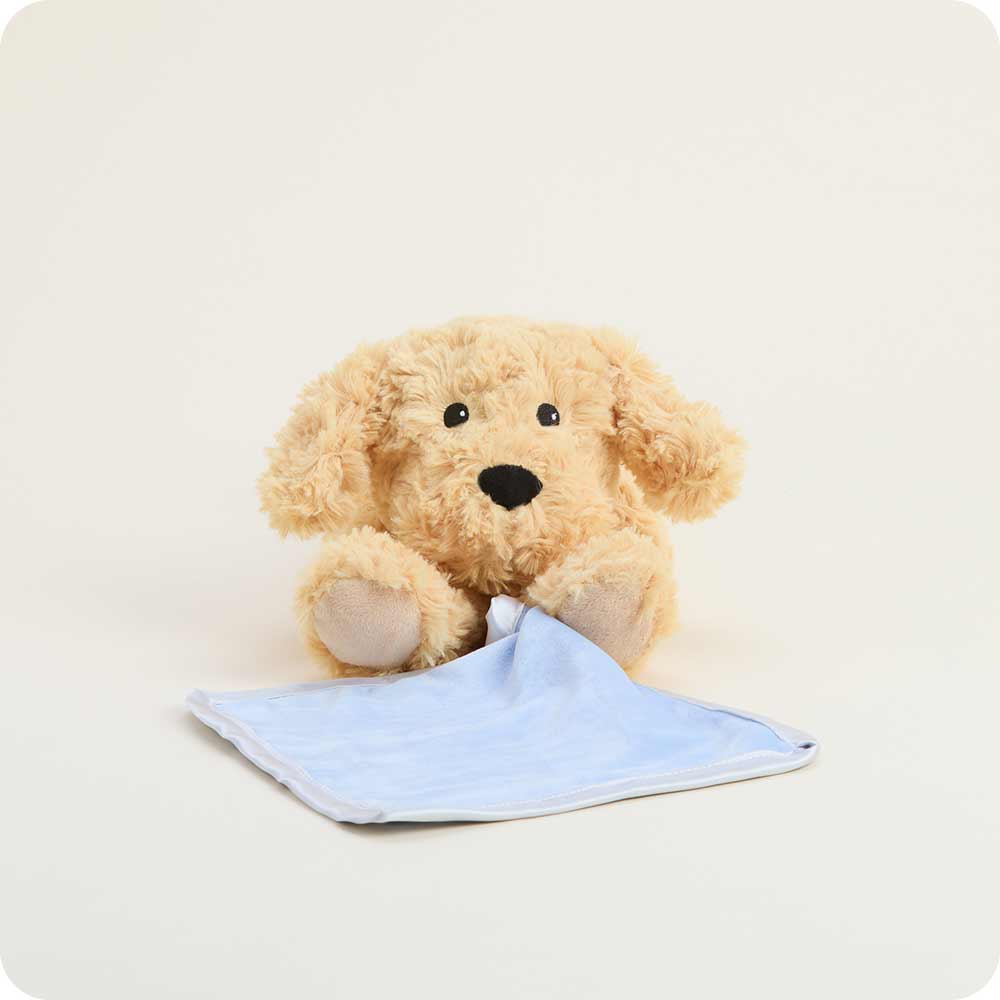 Golden Dog Blankie Warmies - Daily Scent