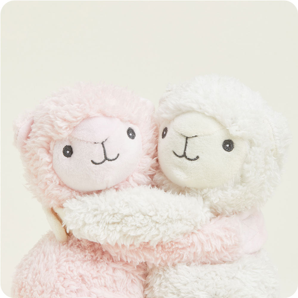 Llama Hugs - Travel Edit
