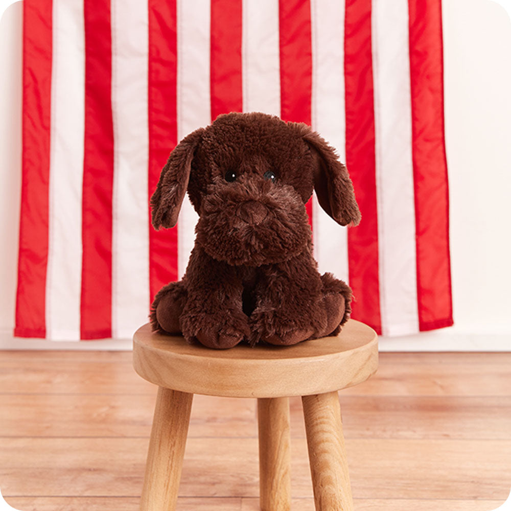 Chocolate Labrador Warmies - Home Glow
