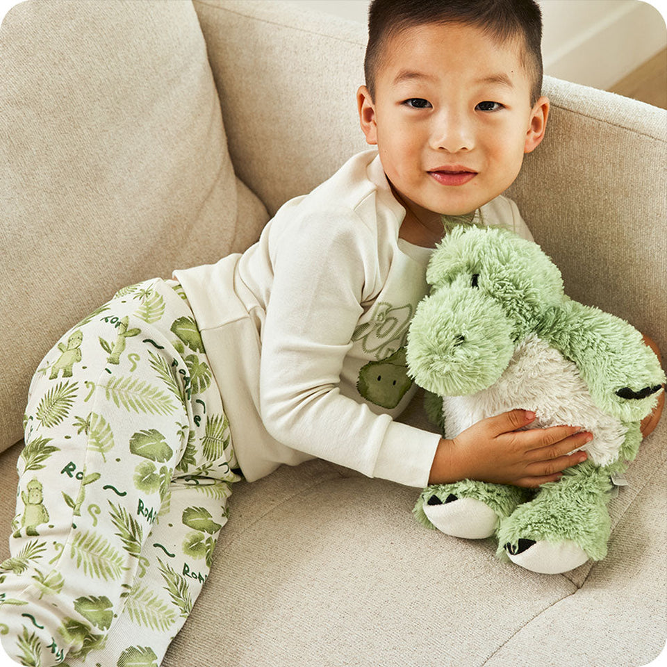 Green Dinosaur Warmies - Fresh Notes
